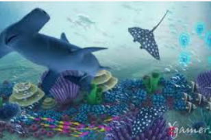 ayx大厅手机版登录入口电脑免费版